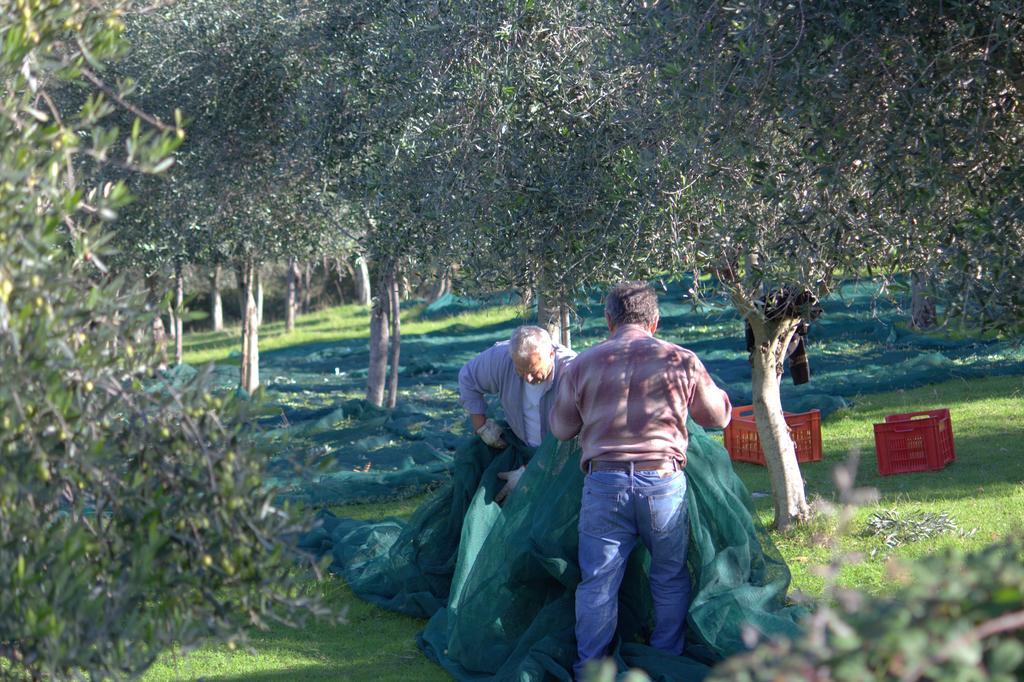 Casperia B&B Colle Perrini Country House المظهر الخارجي الصورة