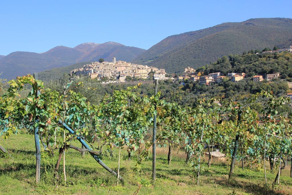 Casperia B&B Colle Perrini Country House المظهر الخارجي الصورة