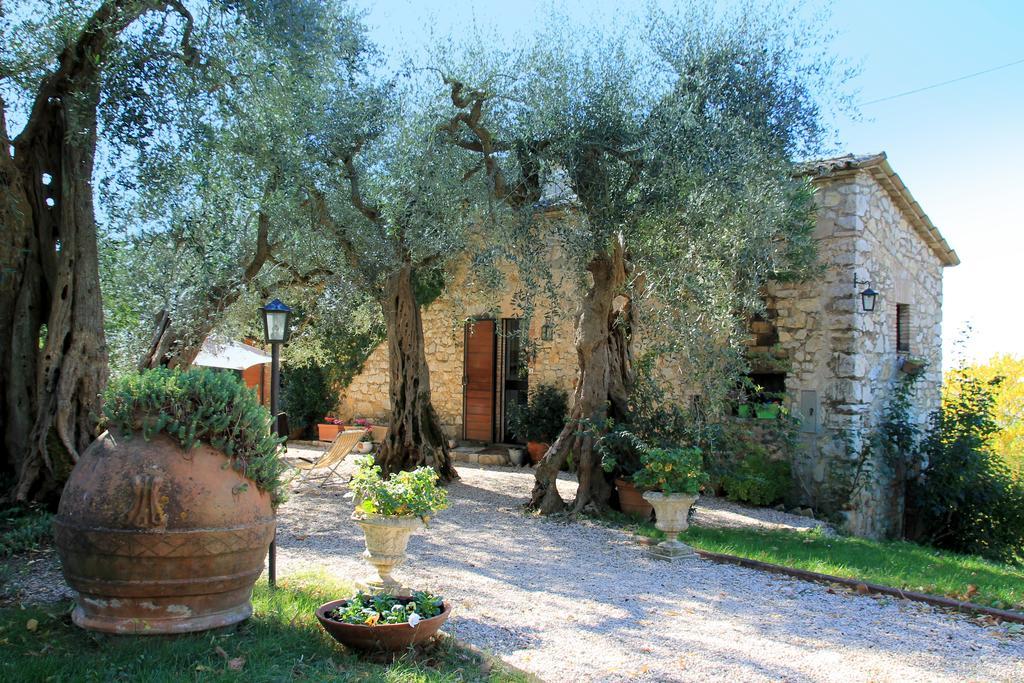 Casperia B&B Colle Perrini Country House المظهر الخارجي الصورة
